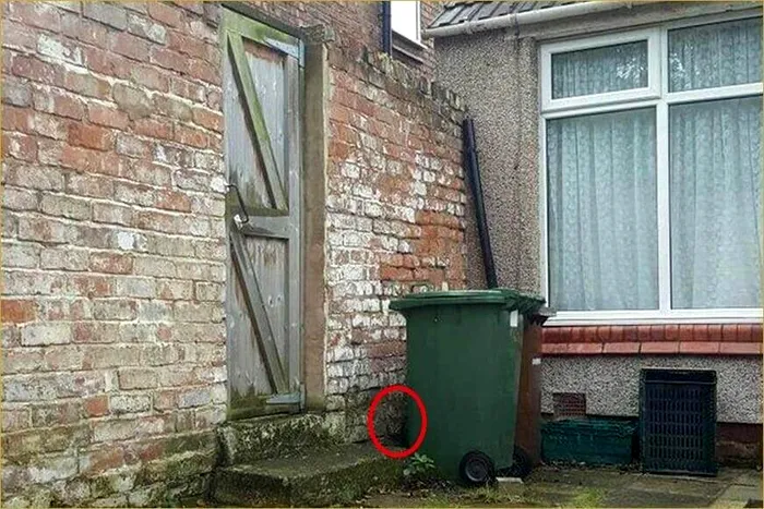 Sursa foto: shakethebrain.com