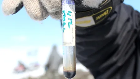 Cercetătorii ruși anunță o descoperire excepțională: „Este cel mai uimitor caz pe care l-am văzut în viața mea