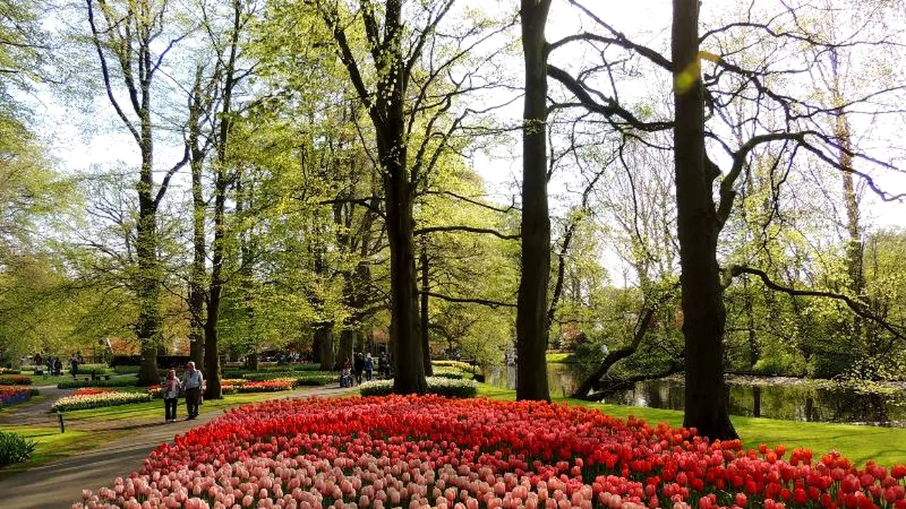 FOTO+VIDEO: Cât plătești pentru a vedea 