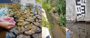 Imagini INCREDIBILE în județul Dolj: Un pârâu a secat în totalitate