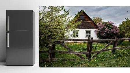 Ce surpriză a avut un cuplu, după MUTAREA în casă nouă. Ce au descoperit în frigiderul abandonat de vechiul proprietar