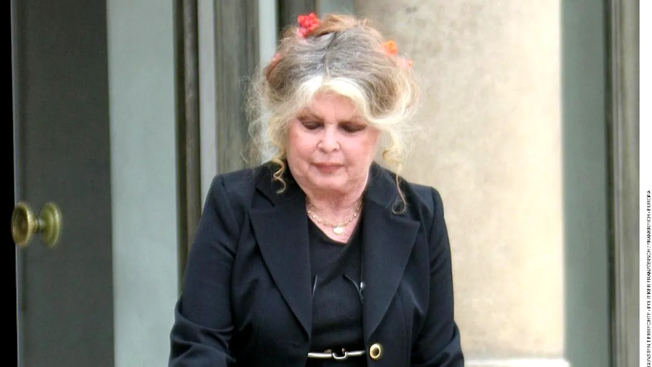 Brigitte Bardot denunță demersurile pentru eutanasierea câinilor maidanezi din România