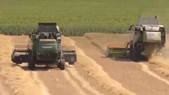 Deficit comercial de miliarde la produse alimentare. România exportă cereale și importă pâine