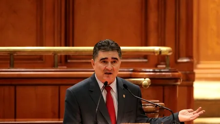 Ghișe: Legea privind eutanasierea câinilor nu respectă principiul bicameralismului