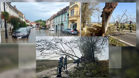 FOTO-VIDEO. Ploile și vijeliile au făcut prăpăd în România. Patru oameni au murit / 18 mașini, 16 blocuri și 9 case, avariate