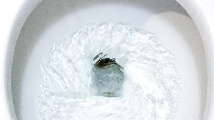 Închisoare pentru o menajeră filipineză care a pus apă din toaletă în apa potabilă a familiei la care lucra. Femeia ar fi fost maltratată de angajatori