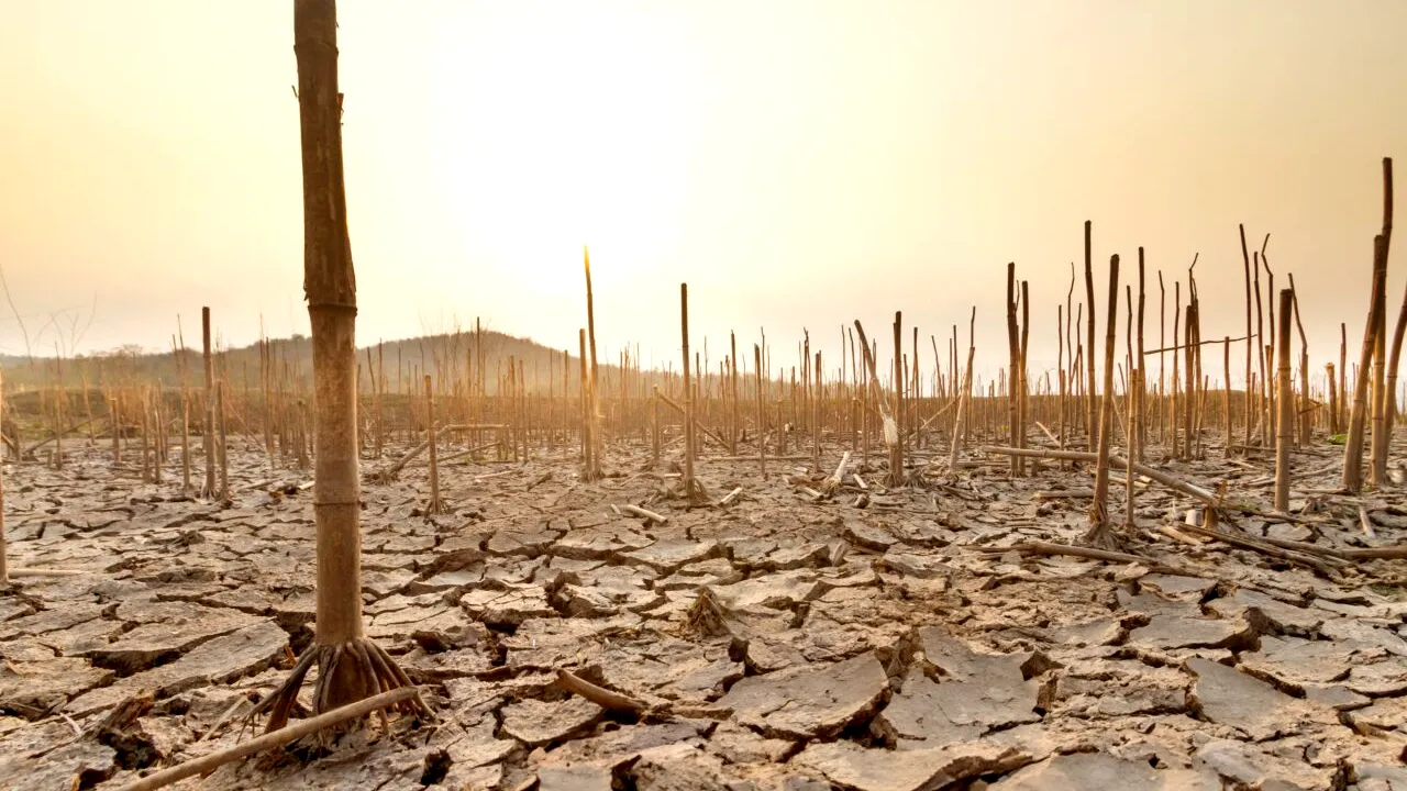 Studiu: Evenimentele meteo cu potențial letal sunt AGRAVATE de schimbările climatice