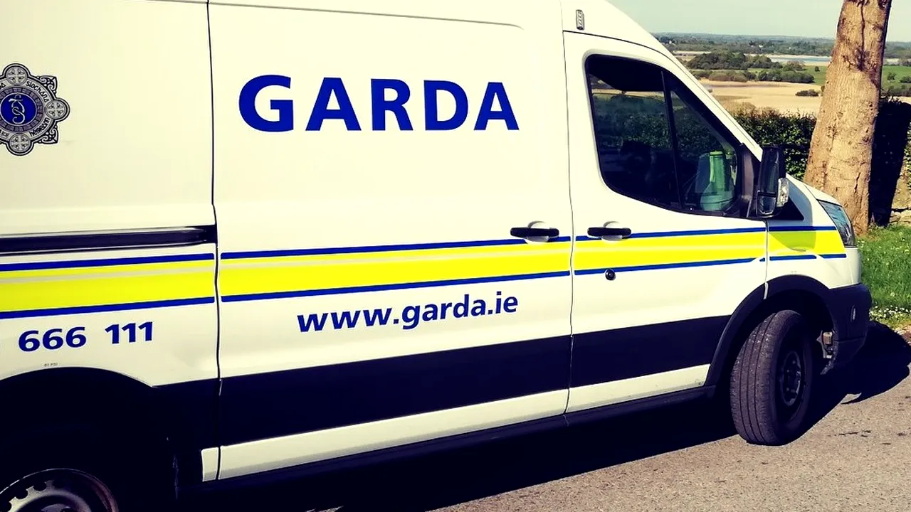 GRUP INFRACȚIONAL. Români arestați în Irlanda, după ce au luat fraudulos ajutoare sociale pentru COVID-19