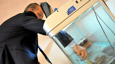 Ce a făcut Boc în prima zi de muncă