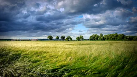 METEO. Cum va fi vremea azi în București și în țară. Se vorbește de intensificări ale vântului. Agricultorii vor avea parte de vreme caldă