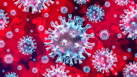 Epidemiologii se așteaptă ca România să înregistreze 30.000 de cazuri de COVID pe zi. Vârful valului 6 ar putea fi atins săptămâna aceasta