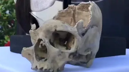 Cum arătau oamenii acum 7.500 de ani: Femeia neolitică, recreată în cel mai mic detaliu - VIDEO 