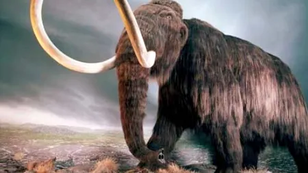 Cu cât a fost vândut la licitație scheletul unui mamut lânos