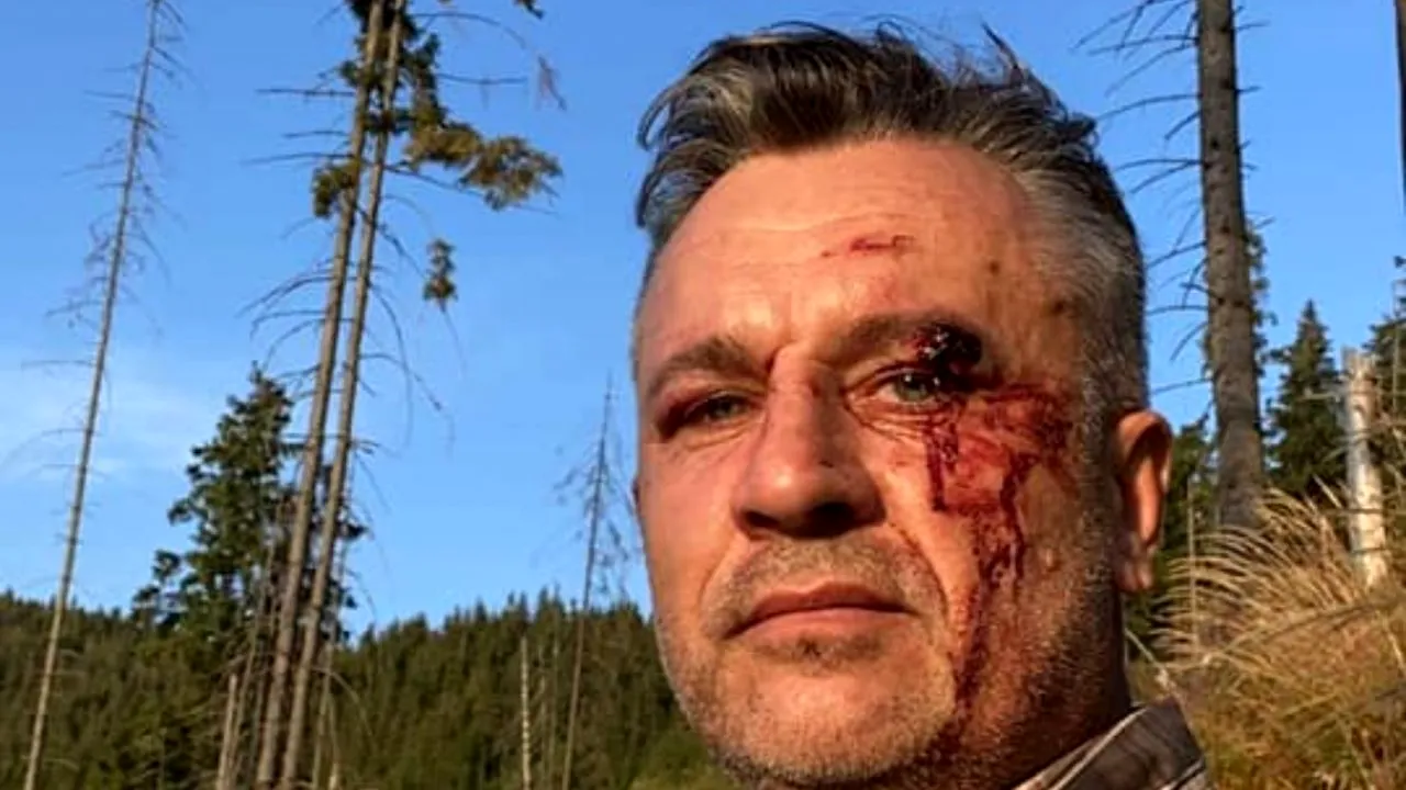 Greenpeace România: Doi jurnaliști și un activist de mediu au fost bătuți crunt, în Suceava, în timpul filmărilor despre tăierile ilegale de păduri. Ce face poliția