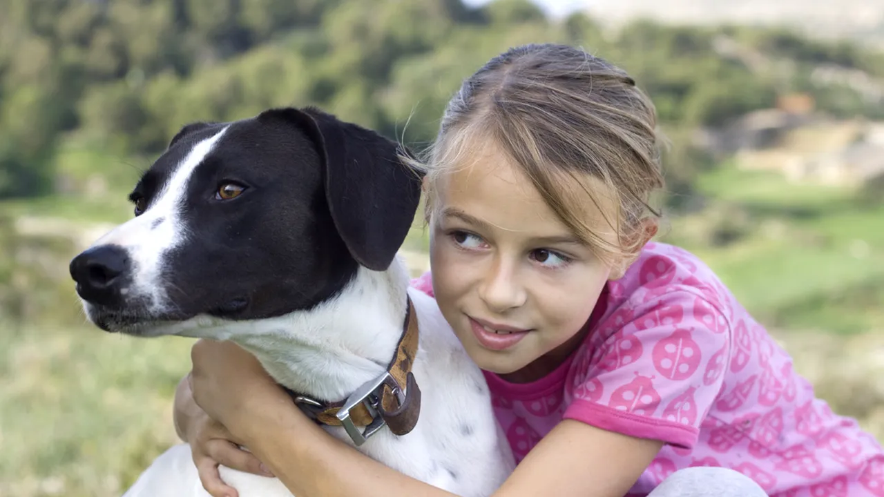 De ce nu le place câinilor să fie îmbrățișați