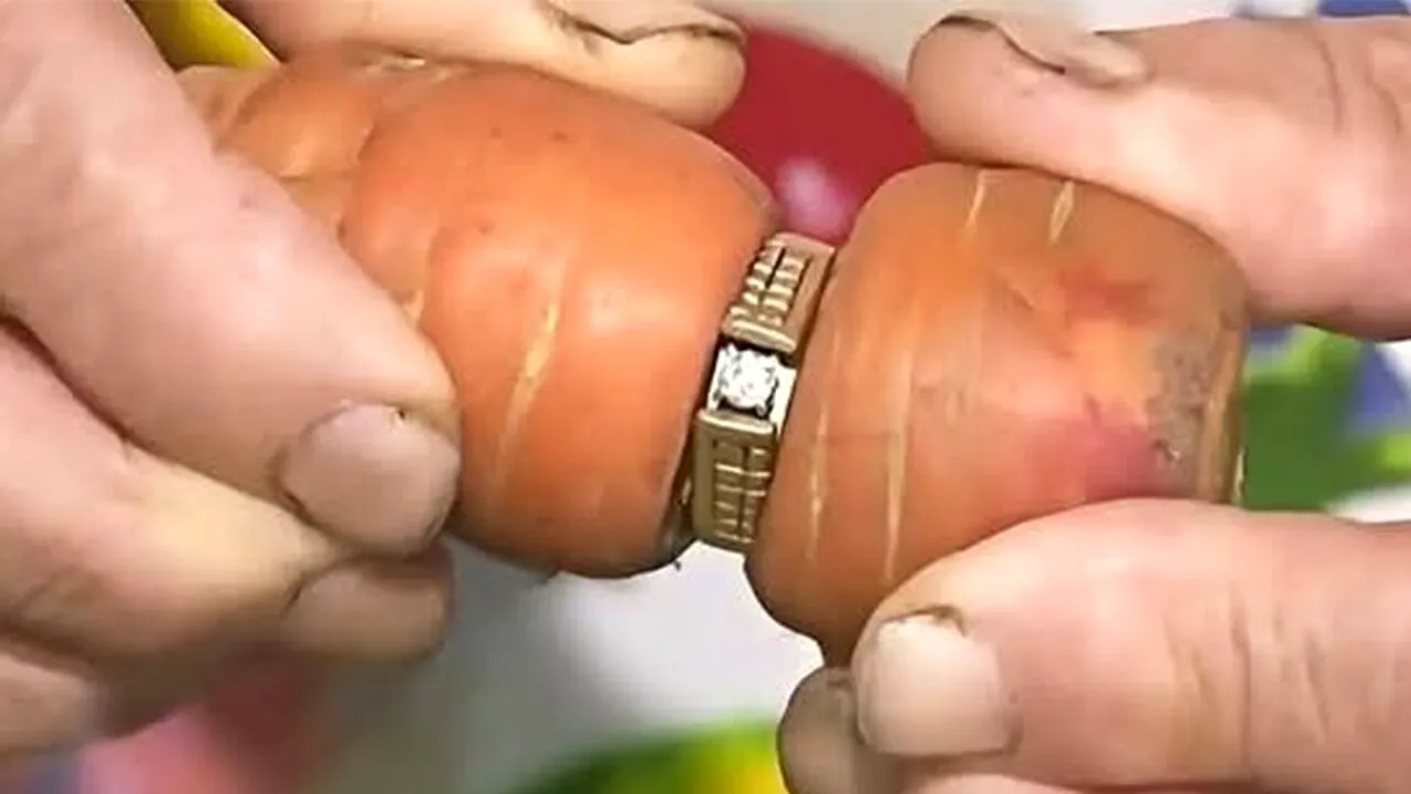 În 2004, o femeie și-a pierdut verigheta în timp ce grădinărea. După ani și ani, nora ei a găsit inelul. Ireal unde era, de fapt