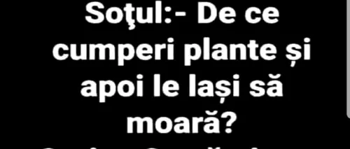 BANCUL zilei | Soțul către soție: „De ce cumperi plante și apoi le lași să moară?