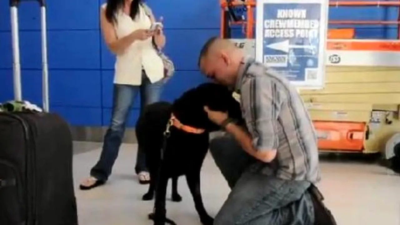 Întâlnire emoționantă între un pușcaș marin și câinele său