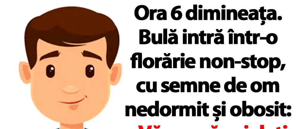 BANC | Ora 6 dimineața. Bulă intră într-o florărie non-stop, cu semne de om nedormit și obosit...