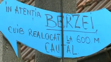 Au mutat cuibul unei berze prin ordin de ministru, apoi i-au lăsat un indicator. Ce s-a întâmplat când pasărea s-a întors