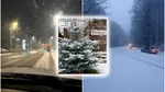 A nins ca-n povești la munte. Strat de zăpadă de 25 de centimetri, în Ajunul Crăciunului