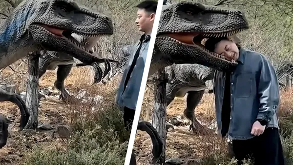 Un turist a ajuns la spital după ce și-a prins capul în gura unui dinozaur, într-un parc de distracții. Imagini cu „atacul dinozaurului“
