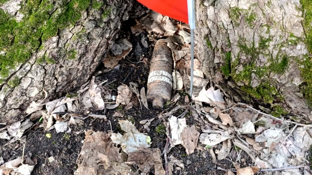 PROIECTIL din timpul războiului, găsit într-o pădure din Botoşani. Ce au descoperit pirotehniștii: 