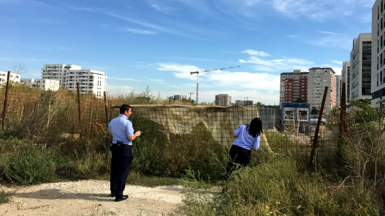 Amenzi de peste jumătate de milion de lei pentru cei care nu-și curăță terenurile de ambrozie