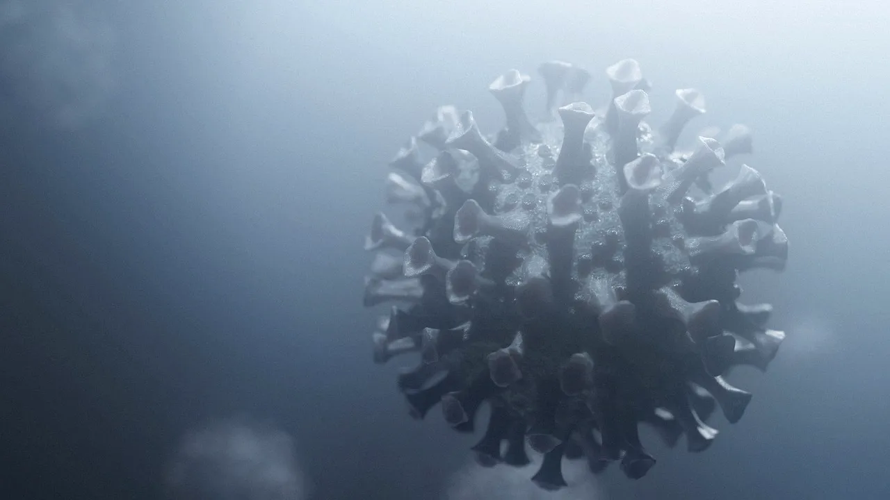 „Tulpina indiană“, a patra mutaţie a SARS-CoV-2. Infectările au crescut de trei ori în India 