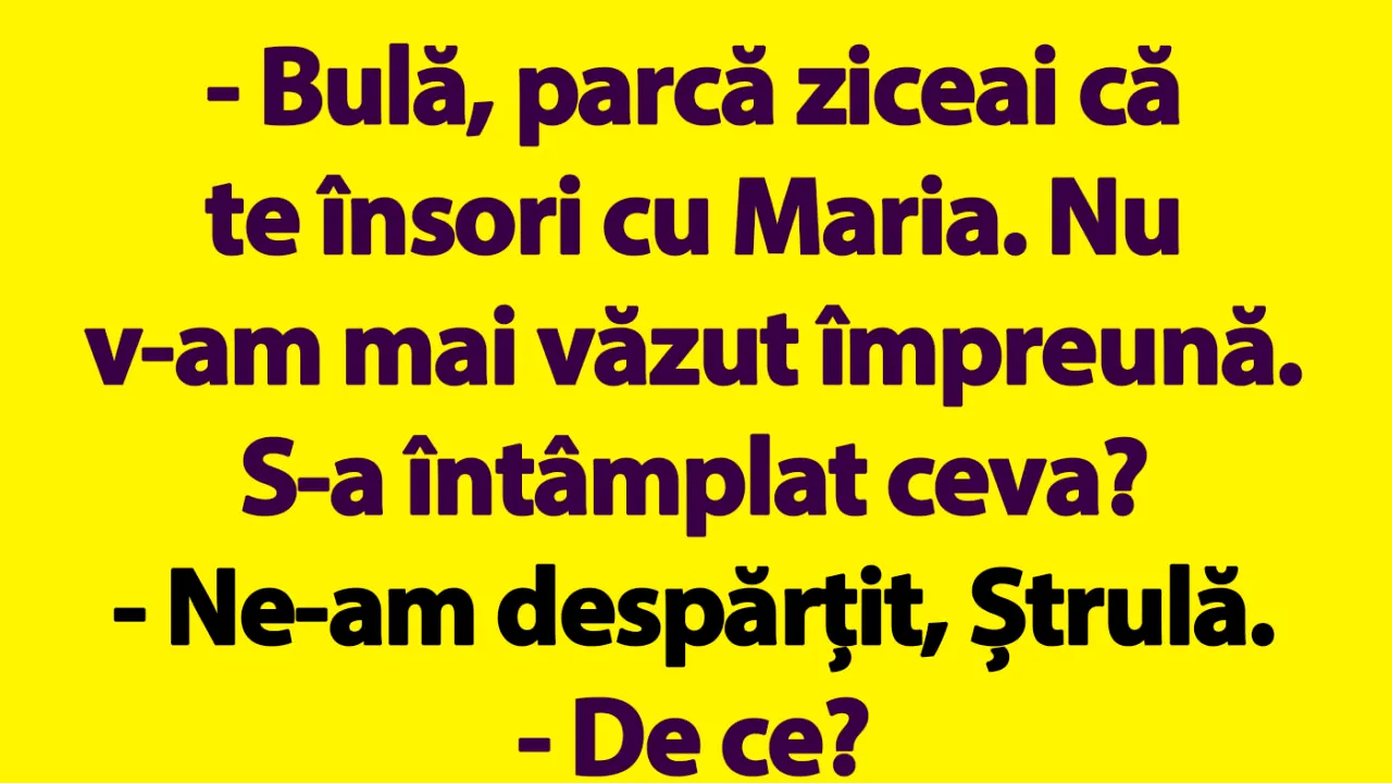 BANC | Bulă a fost prins cu mâța-n sac
