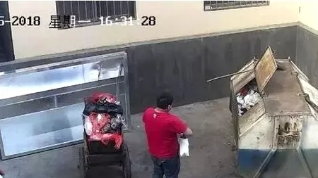 Iubita i-a născut acasă, iar el a aruncat copilul la gunoi. După câteva minute un adevărat miracol s-a întâmplat