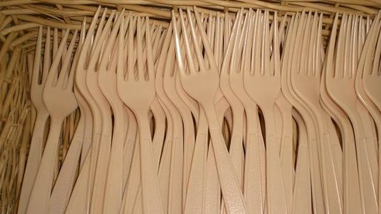Adio farfurii și tacâmuri din plastic! Consiliul UE a adoptat interdicția privind materialele plastice de unică folosință. De când intră în vigoare