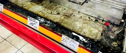 VIDEO | Magazine din Hala Obor, închise temporar. ANPC a găsit produse alimentare expirate sau ținute în vitrine cu rugină și mucegai