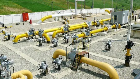 ECONOMIE. Management de top la Transgaz. Acționarii au aprobat dividende de 37 de milioane de euro pentru anul 2019