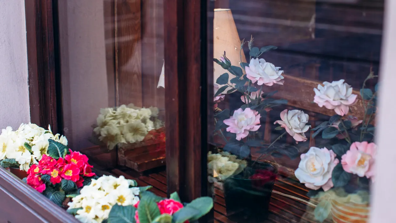 FLORILE pe care le poți lăsa afară iarna, în grădină sau pe balcon. Sunt rezistente și nu au nevoie de o îngrijire deosebită