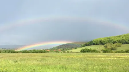 Sărbătoriții zilei, asaltați pe Facebook de urările politicienilor. Fotografia postată de Elena Udrea
