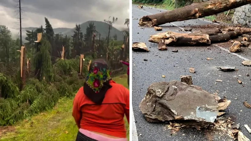 FURTUNĂ devastatoare în Maramureș. Un bărbat a murit trăznit de fulger, altul rănit. O pădure a fost doborâtă de vijelie - VIDEO