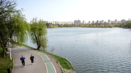 Apariție incredibilă într-un celebru parc din București. Primăvară în plină iarnă: „Nu ne-a venit să credem”