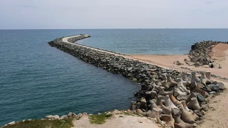 Biologii avertizează! ”Marea Neagră are tot mai multe specii de vietăți, unele bune, unele mai puțin dorite”