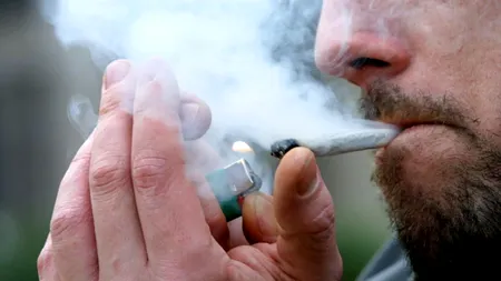 Un român a oprit un tren în gară pentru a fuma un joint. Cum au reușit polițiștii germani să-l convingă să se potolească