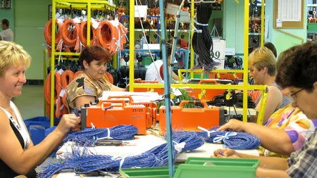 Exodul forței de muncă, O PROBLEMĂ DE SISTEM. Firmele străine ÎȘI PIERD INTERESUL față de România