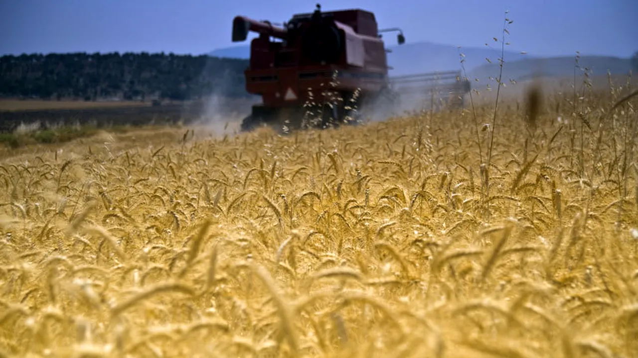 Băsescu: Ploile din ultimele 30 de zile au salvat agricultura României