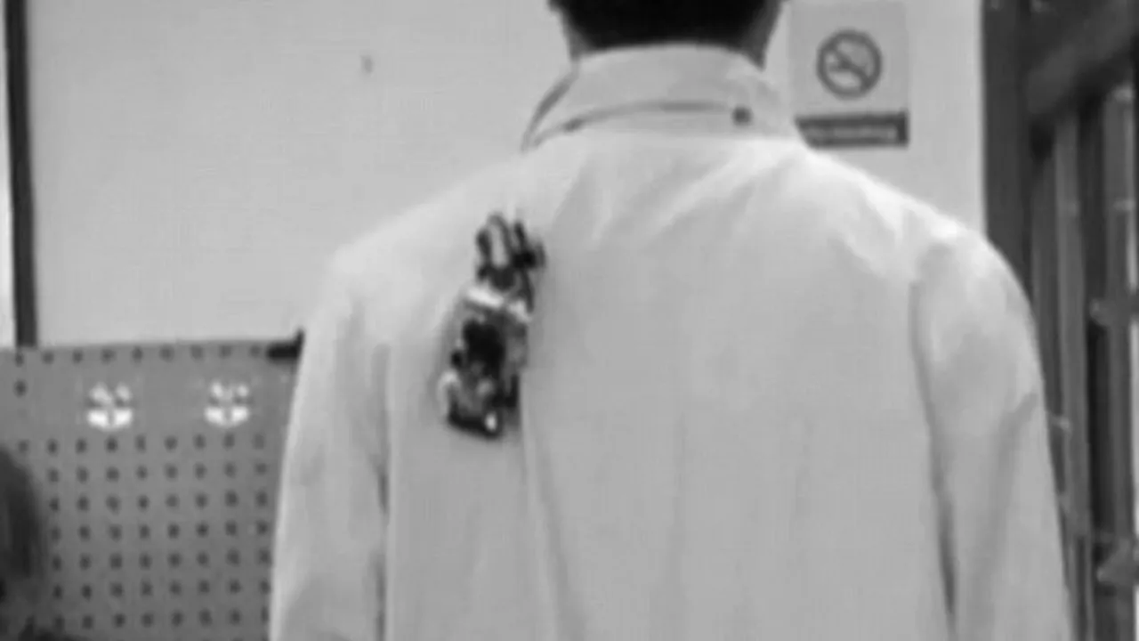 VIDEO: A fost inventat robotul care se cațără pe haine. La ce ar putea fi folosit