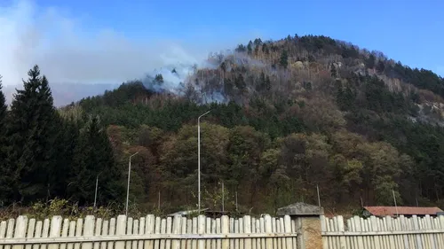 Incendiu de pădure în județul Bacău. Focul a izbucnit duminică, iar intervenția pompierilor este dificilă pentru că în zonă încă există muniție neexplodată din Primul Război Mondial | VIDEO