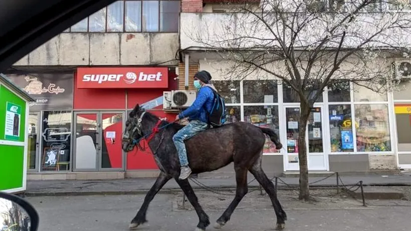 IMAGINI Virale. După episodul „plimbatul peștișorului”, un tânăr din Iași a ieșit pe cal, în centrul orașului