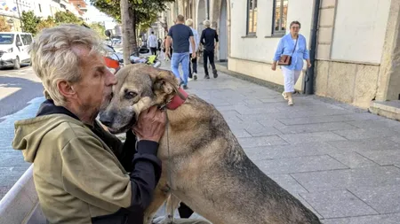 Rămas pe străzi, Mihai din Cluj are o singură grijă: Cui îi rămâne Ursu, câinele său: „Mai bine m-ar lua Dumnezeu”