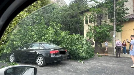 FOTO | Efectele codului galben de VÂNT puternic din Capitală: O persoană rănită, copaci doborâți de rafalele puternice și mașini distruse (UPDATE)