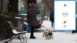 Meteorologii Accuweather au anunțat deja prima ninsoare în București. Pe ce dată ninge