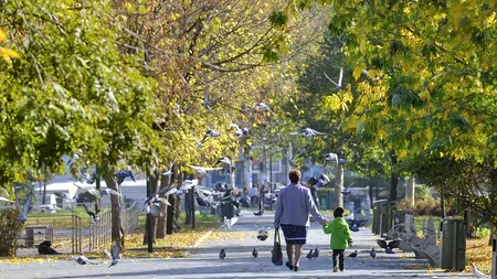 Statele Unite se mută în România | Parcul Băneasa din Capitală se va numi Parcul Jersey City / Proiectul, unul de cooperare