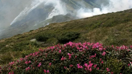 Patru turiști rătăciți în Munții Rodnei, salvați după o operațiune de salvare de opt ore